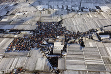View of a winegrowing village in winter between snow-covered vineyards from the north in Böchingen in the state Rhineland-Palatinate, Germany