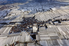 Aerial view of View of a winegrowing village in winter between snow-covered vineyards from the north in Böchingen in the state Rhineland-Palatinate, Germany