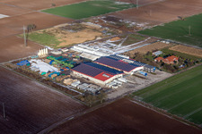 Bird's eye view of District Niederhochstadt in Hochstadt in the state Rhineland-Palatinate, Germany