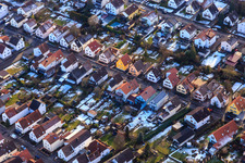 Forest road in winter with snow in Kandel in the state Rhineland-Palatinate, Germany