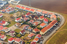 On the high trail in winter without snow in Kandel in the state Rhineland-Palatinate, Germany