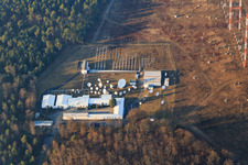Aerial photograpy of US antenna system of the IBB International Broadcasting Bureau Transmitter Station Lampertheim in the district Neuschloß in Lampertheim in the state Hesse, Germany