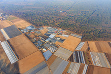 Aerial view of Gärtnersiedling district with Molcz nursery, Bärli gmbH & Co.KG Andreas List, Gunther Möller tree nursery and Böttcher Stefan nursery in Bürstadt in the state Hesse, Germany