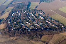 Herrenwäldchen in the district Kirchbrombach in Brombachtal in the state Hesse, Germany