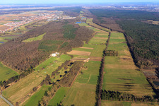 Otterbach lowlands from the west in Kandel in the state Rhineland-Palatinate, Germany