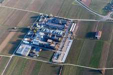 RLP Agroscience in the district Mußbach in Neustadt an der Weinstraße in the state Rhineland-Palatinate, Germany