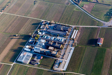 Aerial view of RLP Agroscience in the district Mußbach in Neustadt an der Weinstraße in the state Rhineland-Palatinate, Germany