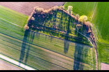 Grave rows on the grounds of the old jewish cemetery von Trimbach in Trimbach in Grand Est, France