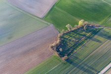 Grave rows on the grounds of the old jewish cemetery in Trimbach in Grand Est, France