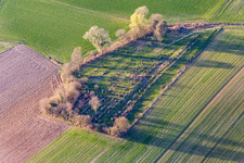 Aerial photograpy of Grave rows on the grounds of the old jewish cemetery in Trimbach in Grand Est, France