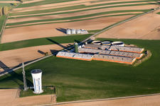 Oberlauterbach in the state Bas-Rhin, France from a drone