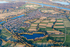 Village on the river bank areas of the Rhine river in Neuburg am Rhein in the state Rhineland-Palatinate, Germany