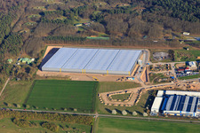 Construction site of the logistics hall for Continental Reifen GmbH and FIEGE Logistik in Bellheim in the state Rhineland-Palatinate, Germany
