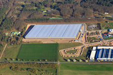 Aerial view of Construction site of the logistics hall for Continental Reifen GmbH and FIEGE Logistik in Bellheim in the state Rhineland-Palatinate, Germany