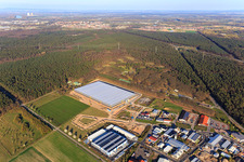 Waldstückerring industrial area with construction site of the logistics hall for Continental Reifen GmbH and FIEGE Logistik in Bellheim in the state Rhineland-Palatinate, Germany from above