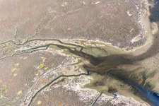 Marsh land on the Isola Marinetta in the Lido of Grado near Lignano Sabbiadoro in Friuli-Venezia Giulia, Italy