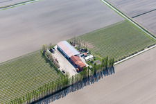 Zecchetto in the state Veneto, Italy