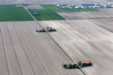 Aerial view of Zecchetto in the state Veneto, Italy