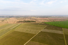 Aerial view of Il Cristo in the state Friuli Venezia Giulia, Italy