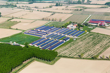 Homestead of a farm Azienda Agricola S. Fosca Di Gemin Armido & C. S.S in Savorgnano in Friuli-Venezia Giulia, Italy