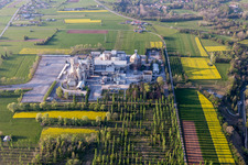 Borgo Ampiano in the state Friuli Venezia Giulia, Italy from above