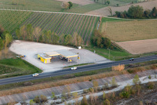 Domanins in the state Friuli Venezia Giulia, Italy