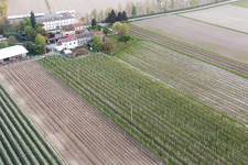 Domanins in the state Friuli Venezia Giulia, Italy from above