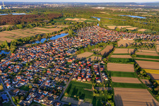 Village view in the Rhine meadows from the west in Neuburg am Rhein in the state Rhineland-Palatinate, Germany