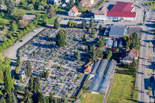 Grave rows on the grounds of the cemetery in Wissembourg in Grand Est, France