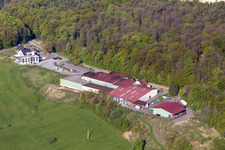 Cellar of the Wine-association Cave Vinicole de Cleebourg in Rott in Grand Est