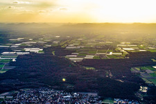 View of the town from the east in Harthausen in the state Rhineland-Palatinate, Germany