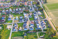 In the Holderbush from the east in Minfeld in the state Rhineland-Palatinate, Germany