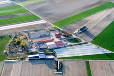 At the Brünnel in Waldsee in the state Rhineland-Palatinate, Germany