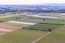 Aerial view of Eier-Meier's Fruit Plantation in the district Mühlhofen in Billigheim-Ingenheim in the state Rhineland-Palatinate, Germany
