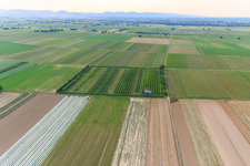 Bird's eye view of Eier-Meier's Fruit Plantation in the district Mühlhofen in Billigheim-Ingenheim in the state Rhineland-Palatinate, Germany