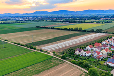 Oblique view of Lower Rappenfeld in the district Mörlheim in Landau in der Pfalz in the state Rhineland-Palatinate, Germany