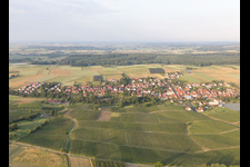 Steinseltz in the state Bas-Rhin, France from a drone