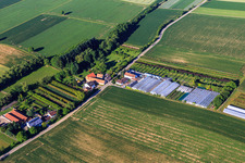 Aerial view of Greenhouses of a horticultural company in Vollmersweiler in the state Rhineland-Palatinate, Germany