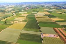 Oblique view of Construction site of the EnBW wind farm Freckenfeld - for wind turbine with 6 wind turbines in Freckenfeld in the state Rhineland-Palatinate, Germany