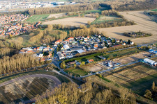 At the Sandzug in Altrip in the state Rhineland-Palatinate, Germany