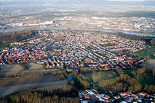 Aerial view of Town View of the streets and houses of the residential areas in Altrip in the state Rhineland-Palatinate