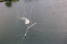 Drone recording of St. Leoner See, water ski facility in the district Sankt Leon in St. Leon-Rot in the state Baden-Wuerttemberg, Germany