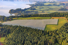 Apple orchard under bird nets on Spittelsberg in the district Espasingen in Stockach in the state Baden-Wuerttemberg, Germany
