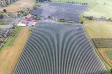 Oblique view of Fruit plantations under protective nets in the district Güttingen in Radolfzell am Bodensee in the state Baden-Wuerttemberg, Germany