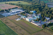 Oblique view of Süpro GmbH in the district Hüttenfeld in Lampertheim in the state Hesse, Germany