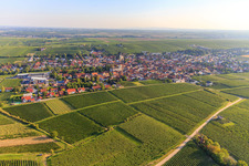 Village view between vineyards from the northeast in Bechtheim in the state Rhineland-Palatinate, Germany
