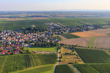 Sports field of TSG 1883 Bechtheim in Bechtheim in the state Rhineland-Palatinate, Germany