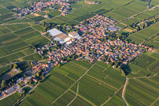 Wine-growing village with sparkling wine cellar Schloss Wachenheim AG between vineyards from the southwest in Böchingen in the state Rhineland-Palatinate, Germany