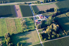 Aerial view of Walsheim in the state Rhineland-Palatinate, Germany