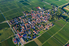Village view between vineyards from the southwest in Walsheim in the state Rhineland-Palatinate, Germany